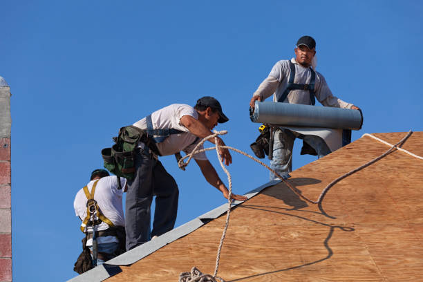 Best Roof Maintenance Services  in Shell Kno, MO
